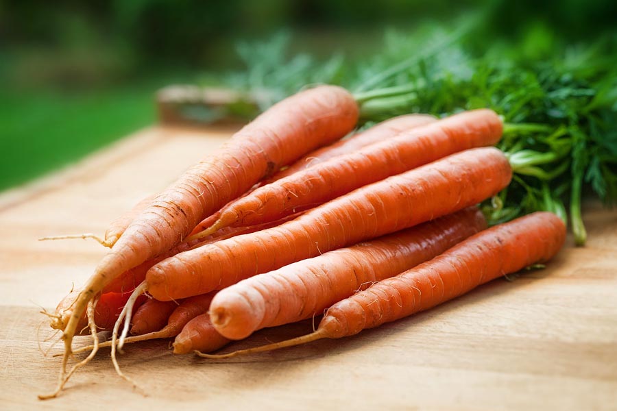 Mlode wiosenne warzywa - świeże marchewki - Sklep Fanex